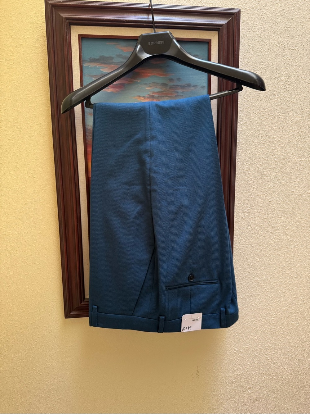 Express Men’s Teal Dress Pants